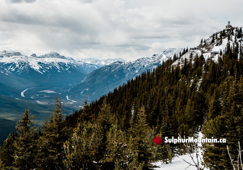 Sulphur Mountain Snowy Pathway South Banff Mountains Valley Banff Gondola