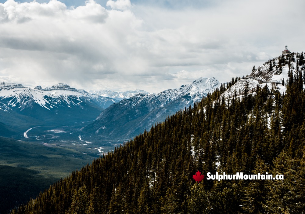 Sulphur Mountain South Banff Mountain Valley Banff Gondola