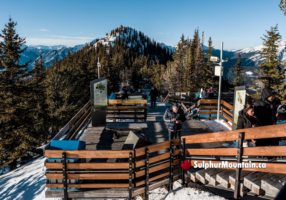 Sulphur Mountain Visitors on Walkway