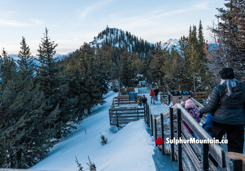 Visitors Walkway Sulphur Mountain