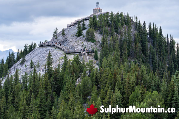 Sulphur Mountain Boardwalk Summit