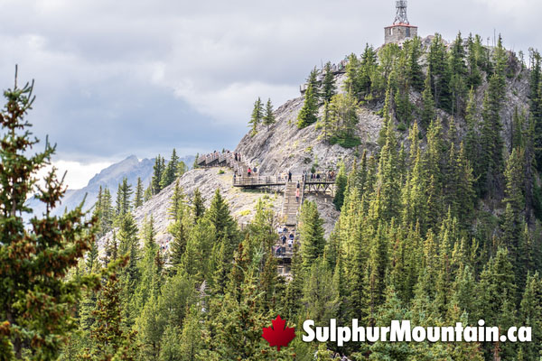 Sulphur Mountain Boardwalk Summit