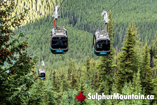 Banff Gondola Ride Up Sulphur Mountain