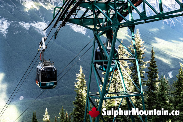 Banff Gondola Ride to Sulphur Mountain