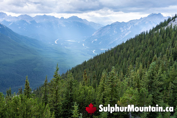 Sulphur Mountain Summit Patio Views